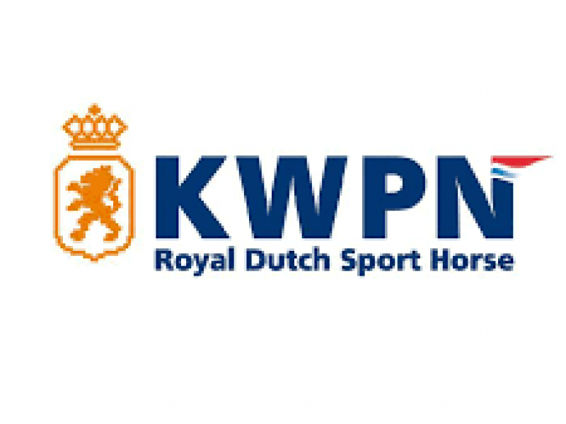 Three Optimus Stallions Advance to the Next Round of KWPN Approvals!