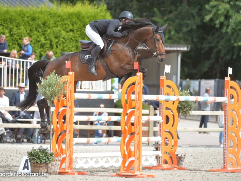 Cristel M and Exquise du Pachis clear in GP CSI2* Lier.