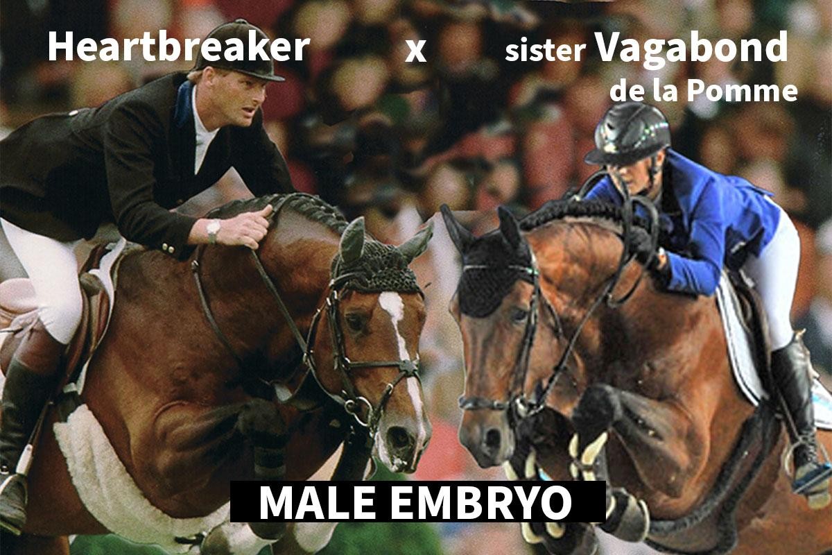 Heartbreaker x sister Vagabond