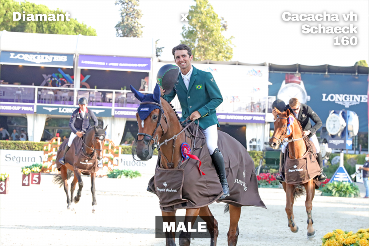paard-8.png