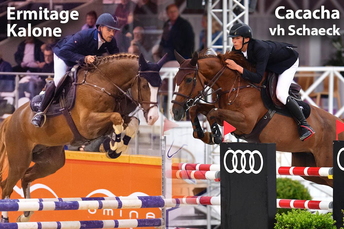 paard-banner-website-optimus-ermitage-cacacha-v2.jpg