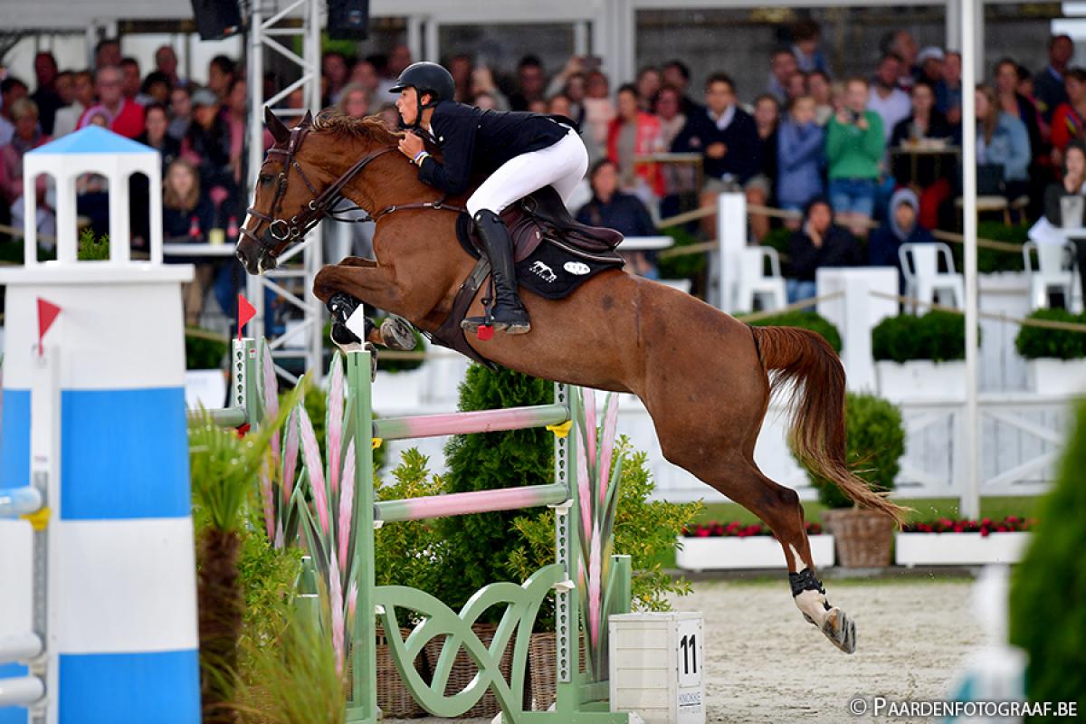 paard-cacacha-knokke-2019-2.jpg