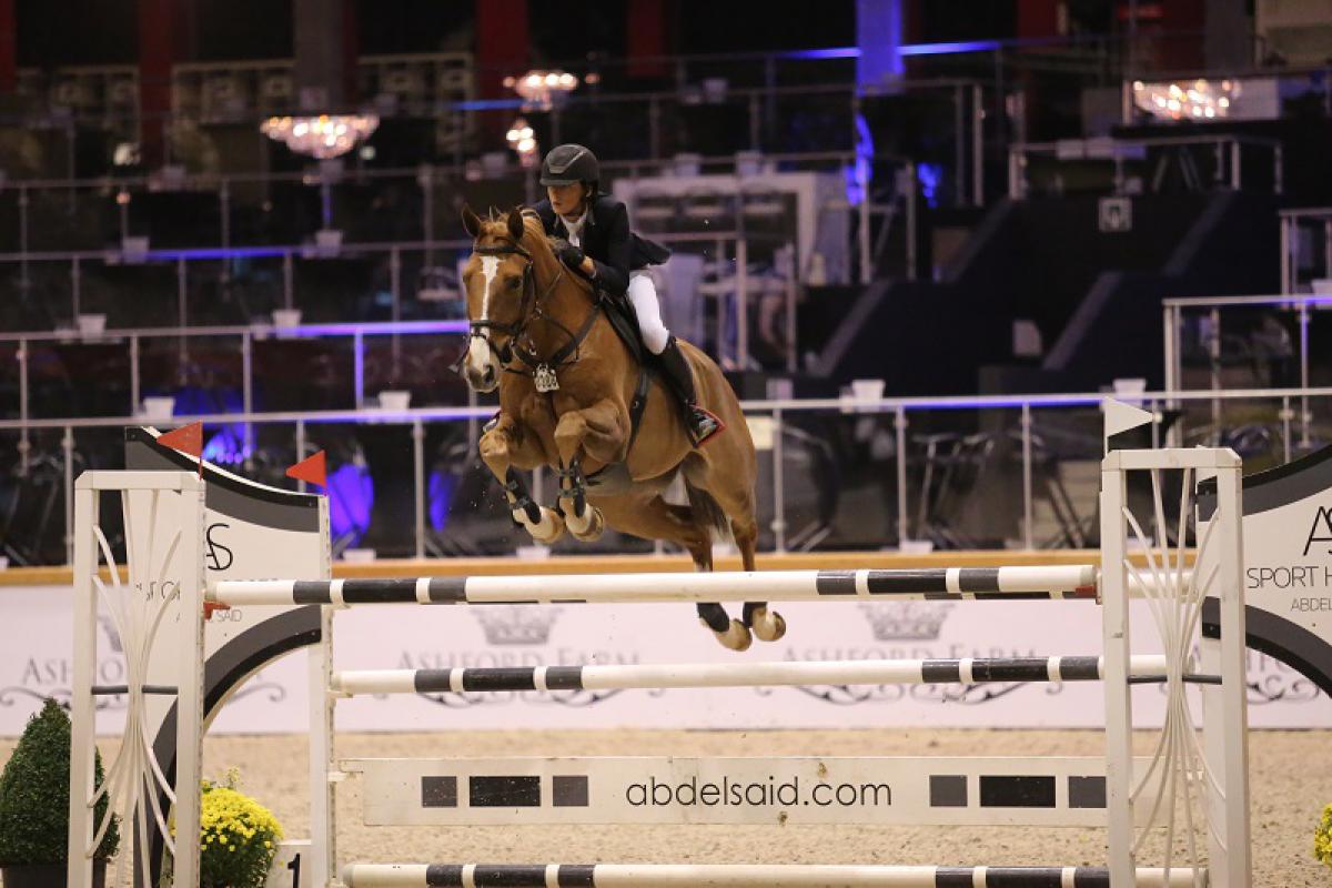 paard-fantast02.jpg
