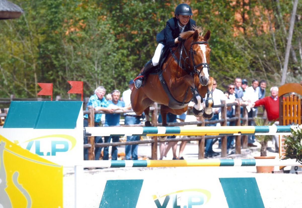 paard-fantast03.jpg