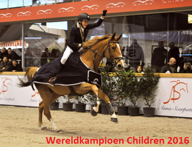 paard-fantast04.jpg